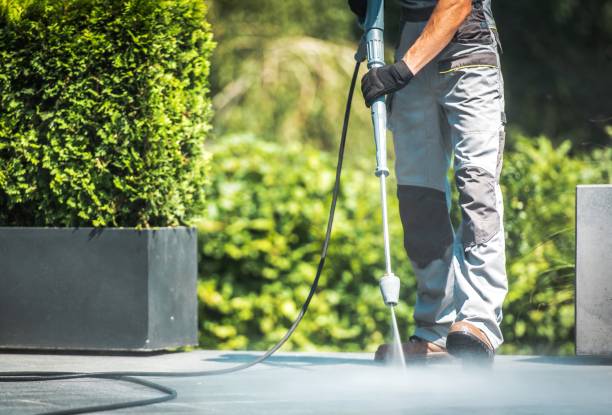 Best Pool Deck Cleaning  in Horse Pasture, VA